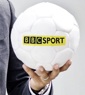 BBC and ITV announce Euro 2012 schedule