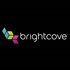 Brightcove launches social video solution