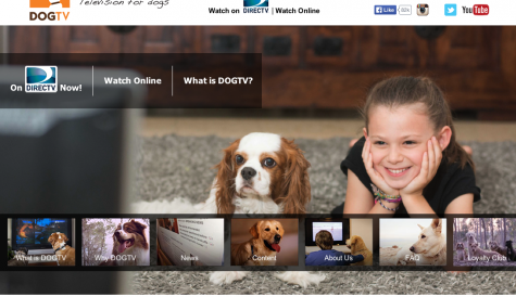 Discovery invests in pet channel DogTV
