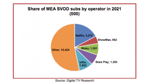 SVOD market in MEA to remain ‘very immature’