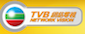 Hong Kong’s TVB shuts down pay TV operation