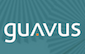 Guavus highlights data analytics