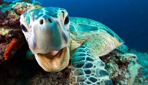Blue Planet II is BBC iPlayer’s top series of 2017