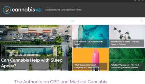 Former MTV and Conde Nast exec joins CannabisMD as CEO