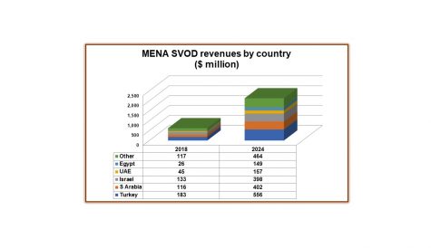 VOD subscriptions in MENA to more than double by 2024