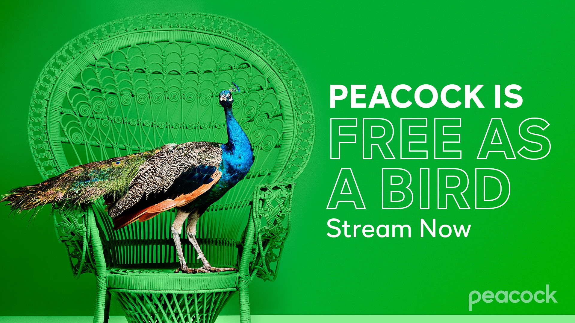 Peacock free tier accounts for 90% of all viewers, claims research -  Digital TV Europe