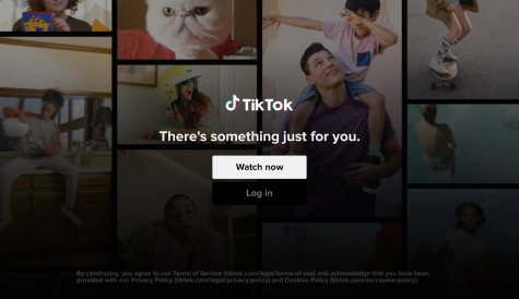 TikTok denies reports of being hacked