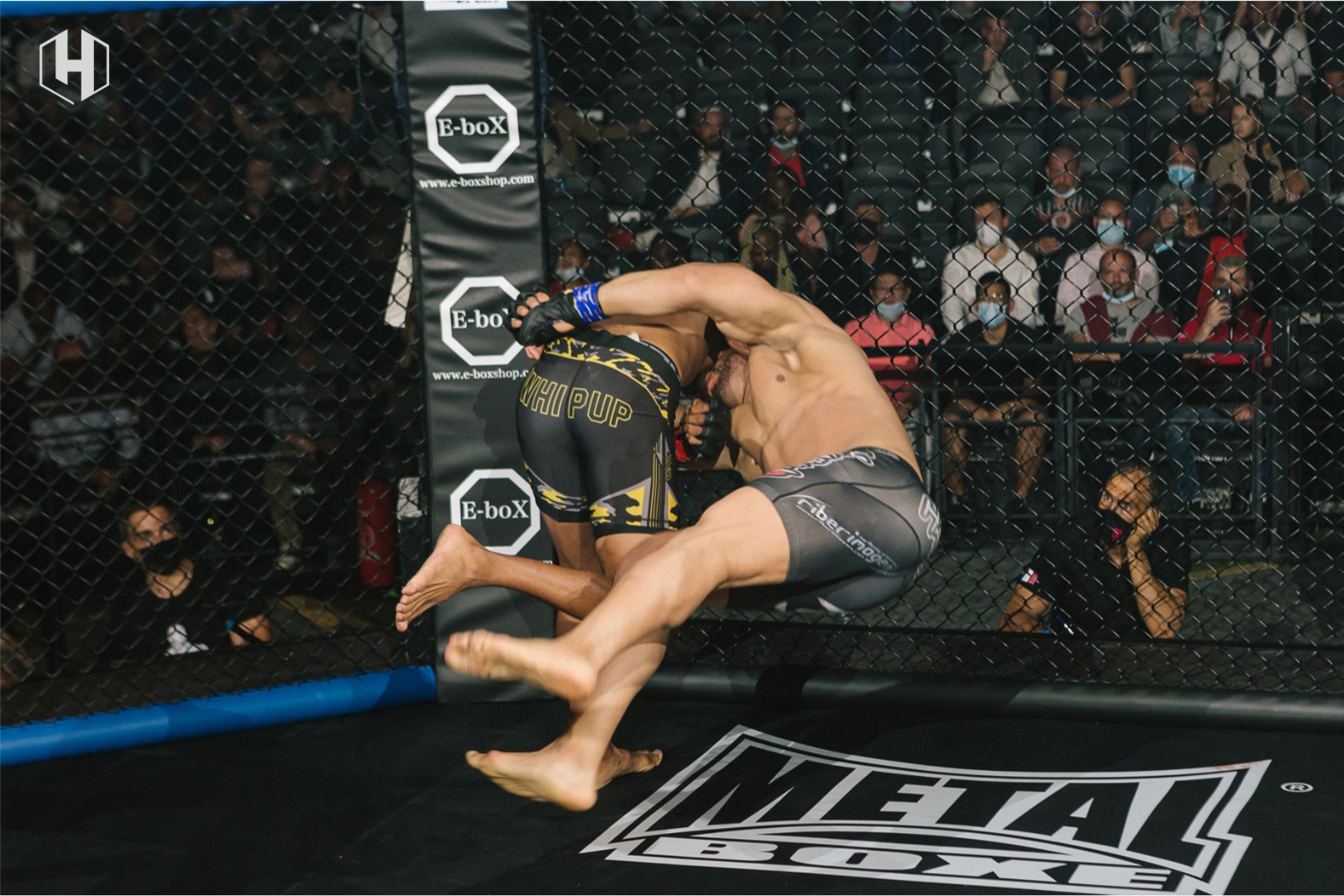 DAZN secures Hexagone MMA to boost combat sports portfolio