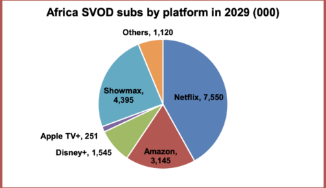 African SVOD set for take-off